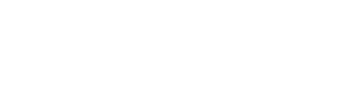 Dvision Studio